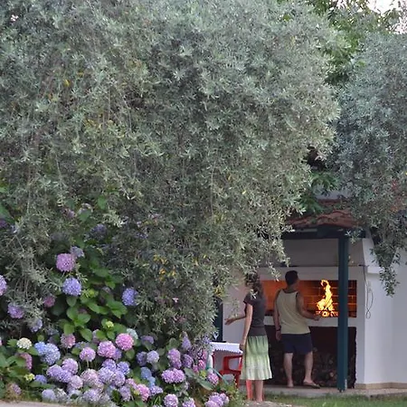 Appartement Anastasia Skala Potamia (Thasos)