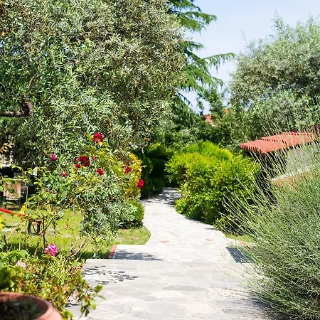 Apartament Anastasia