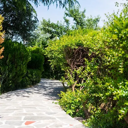 Anastasia Skala Potamia