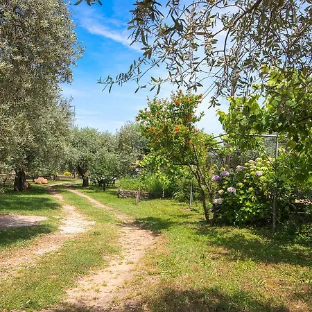 Apartament Anastasia *