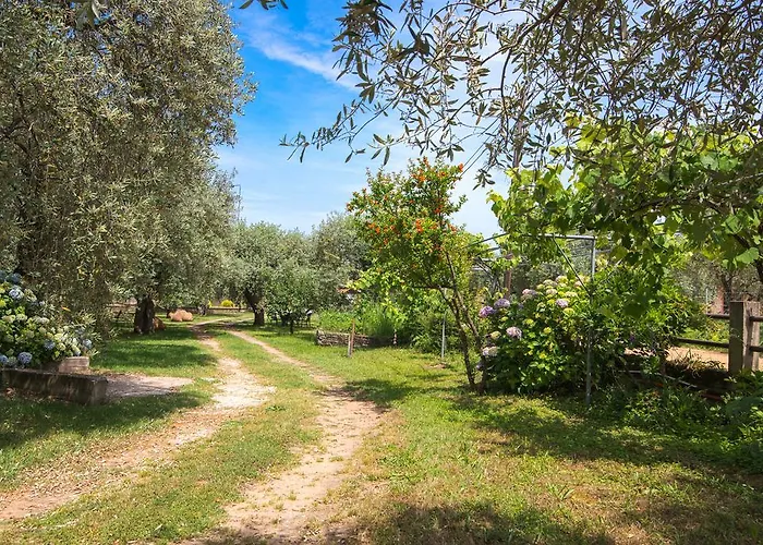 Apartmán Anastasia *